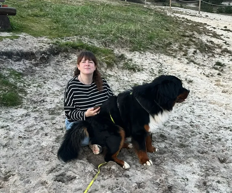 Fritz, unser Berner Sennenhund